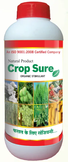 CROP SURE
