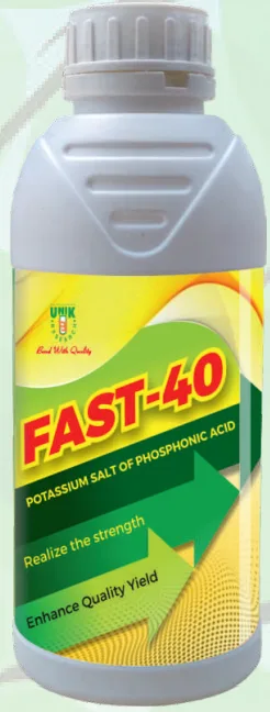 FAST-40