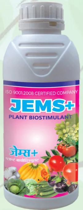 JEMS PLUS