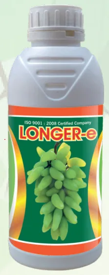 LONGER-E