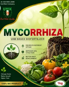 MYCORRHIZA