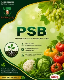 P.S.B.