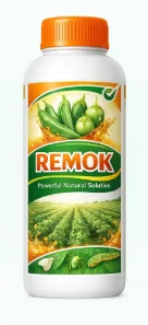 REMOK