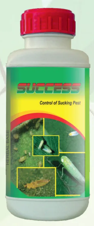 SUCCESS